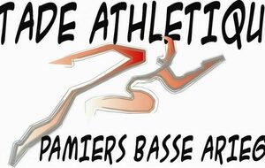 Article de presse la Dépêche du Midi