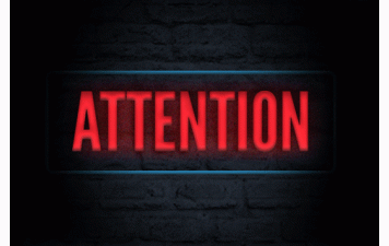 Samedi 29 novembre. Entraînement babys, éveils et poussins